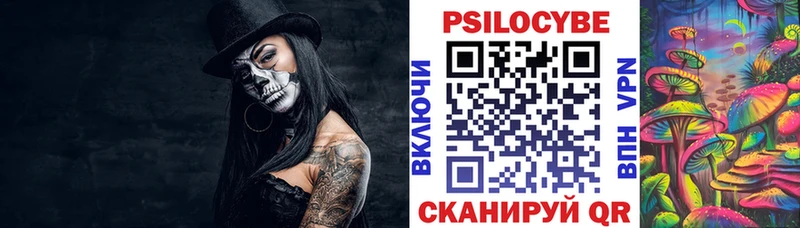 даркнет Telegram  Киселёвск  Псилоцибиновые грибы Psilocybine cubensis  цены наркотик 